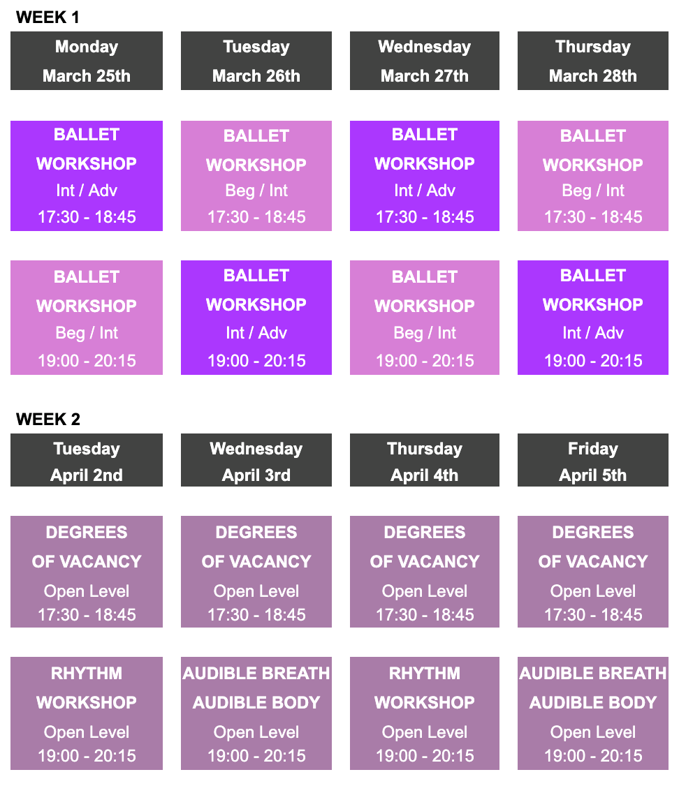 spring 2024 workshop schedule